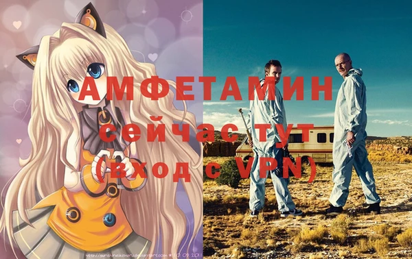 бошки Новозыбков