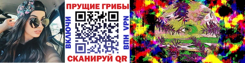 Галлюциногенные грибы MAGIC MUSHROOMS  Купить  Димитровград 